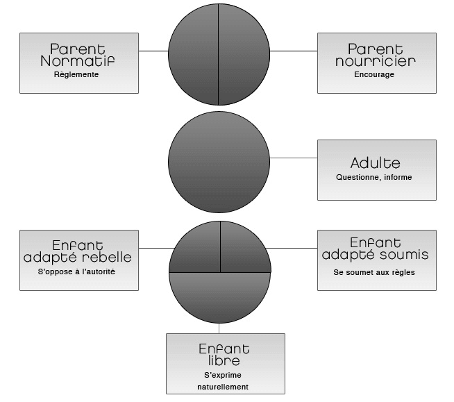3 etats du moi fonctionnel - analyse transactionnelle 3 etats du moi fonctionnel - analyse transactionnelle | Performance et coaching