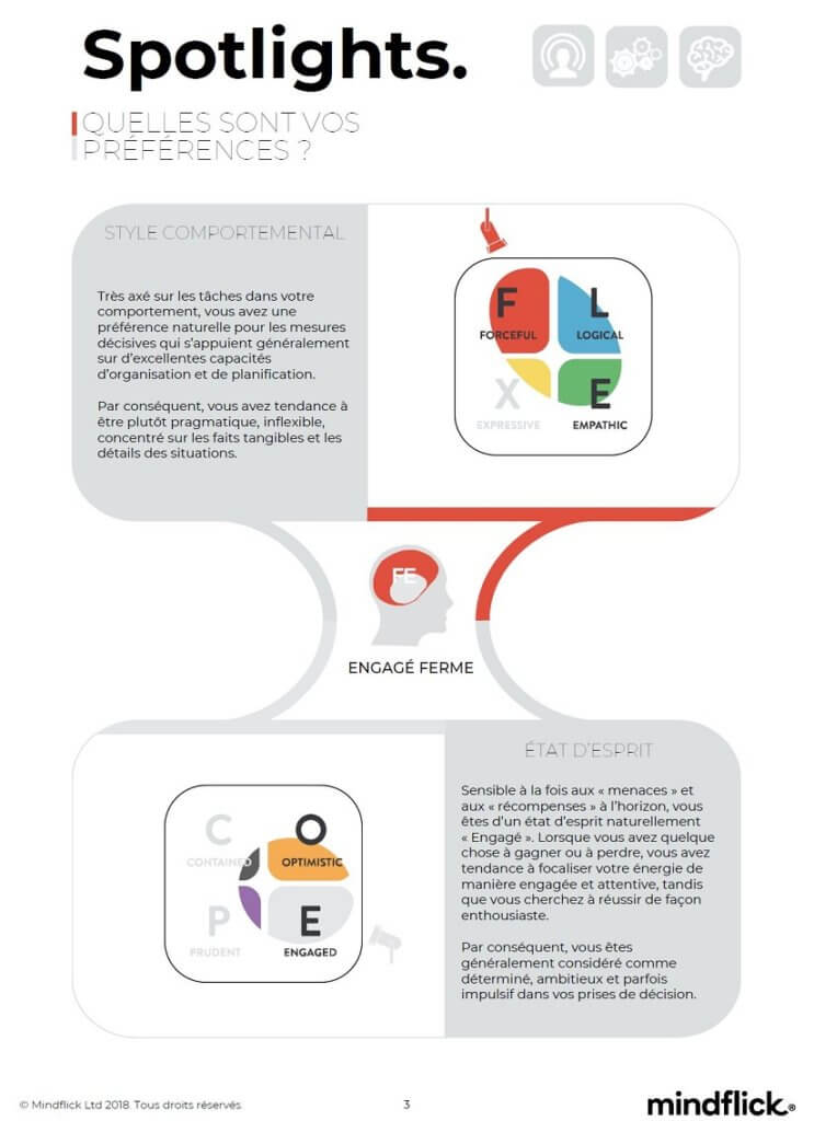 Synthèse Flex et COPE Spotlight - Pierre Cochat préparateur mental certifié profil Spotlight | Pierre Cochat préparateur mental certifié