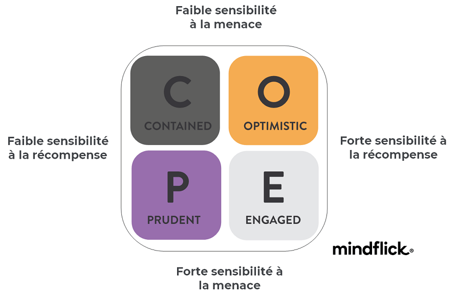 Spotlight - COPE : Nos préférences en situation profil Spotlight - COPE | Pierre Cochat préparateur mental certifié