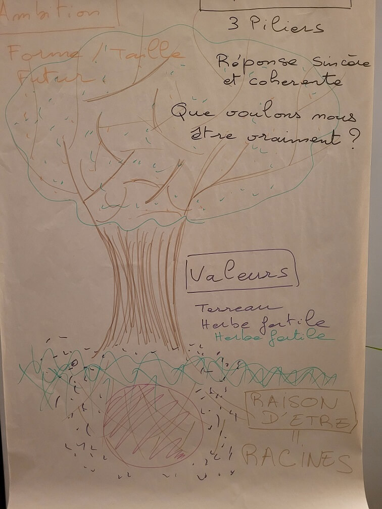 Arbre de vision d'entreprise Raison d'être / Valeurs / Ambition Arbre de vision d'entreprise Raison d'être / Valeurs / Ambition